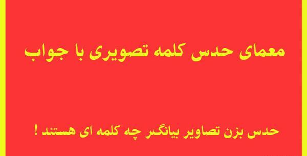 عکس معمای تصویر گل رز چیست