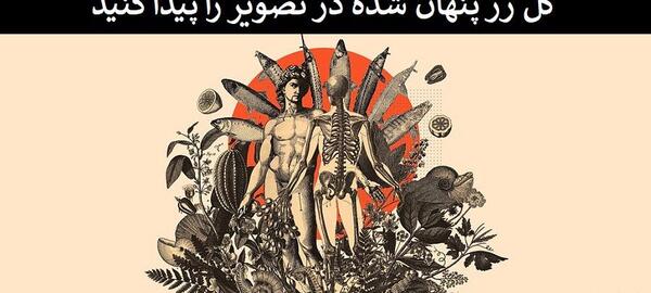 عکس معمای تصویر گل رز چیست