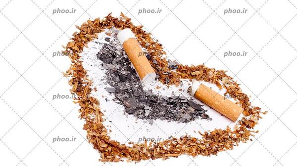 عکس سیگار عکس سیگار