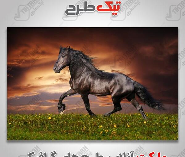 عکس مشکی طبیعت