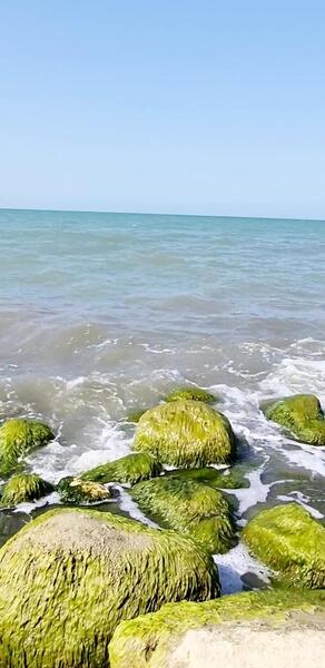 عکس دریا زاغمرز