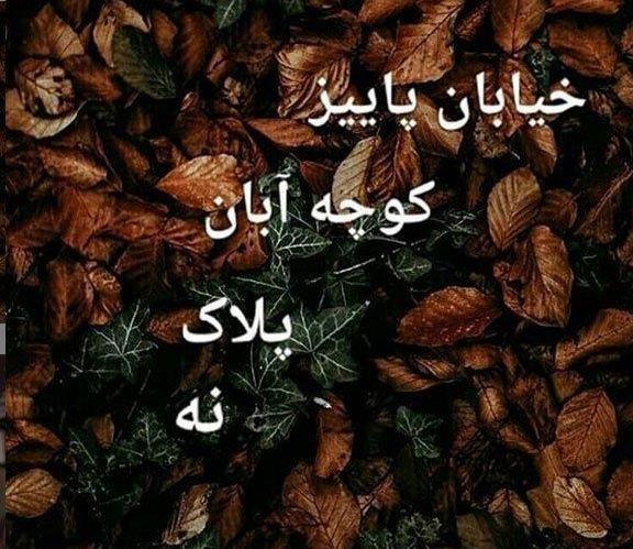 عکس پروف دخترونه آبان ماهی