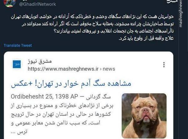 سگ عکس سگ وحشی