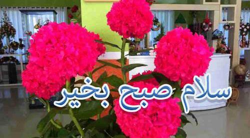 عکس سلام صبح بخیر زیبا متحرک