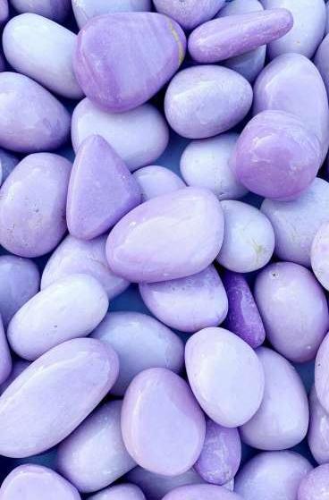 عکس رنگ بنفش