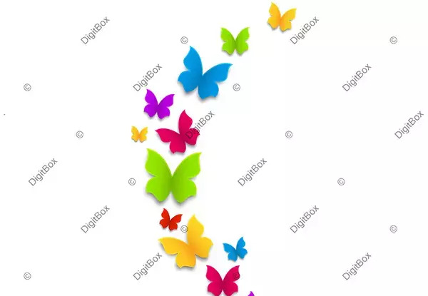 عکس پروانه نوشته