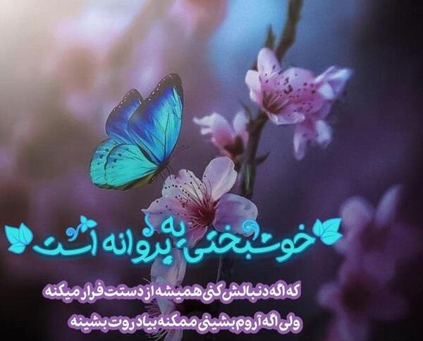 عکس پروانه نوشته