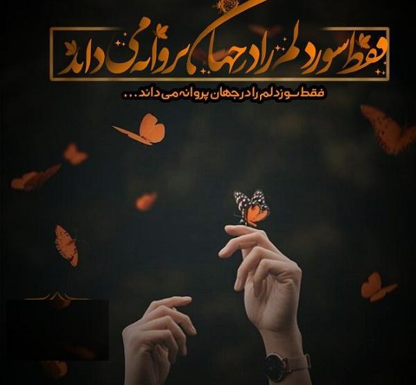 عکس پروانه نوشته