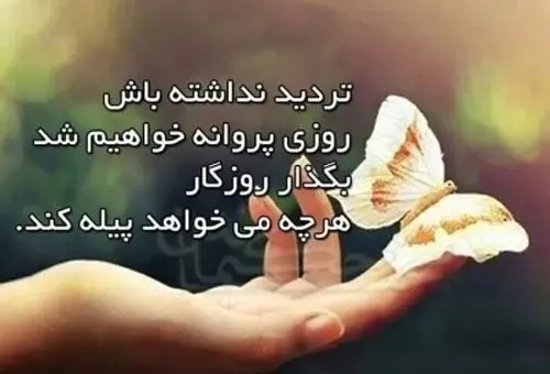 عکس پروانه نوشته