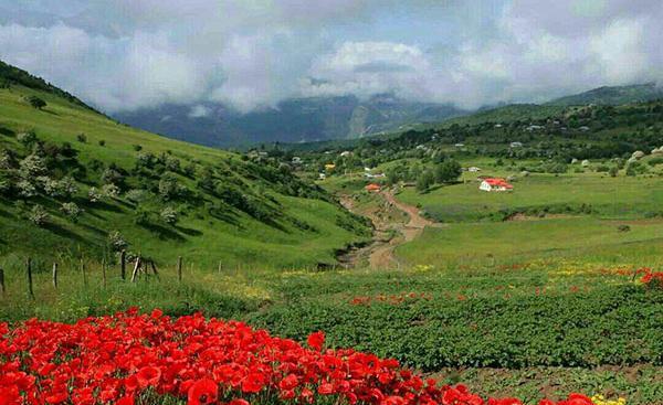 عکس بهار شمال