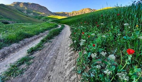عکس بهار شمال