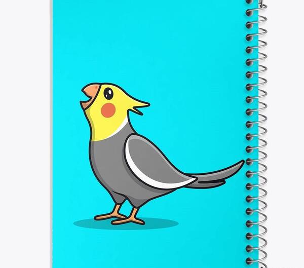 عکس نقاشی سیاه قلم عروس هلندی
