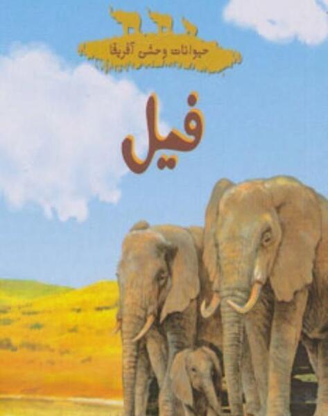 عکس فیل وحشی
