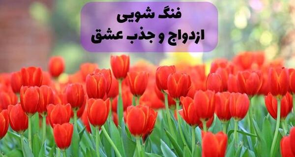 عکس پس زمینه گوشی فنگشویی
