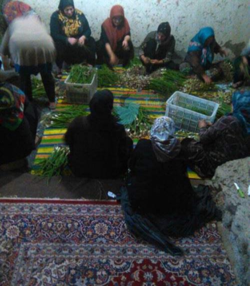 عکس سوتی های لیزر نی نی سایت
