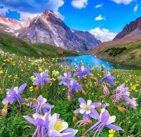 عکس های زیبای طبیعت بهاری