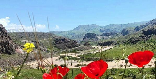 عکس جاده سرچم