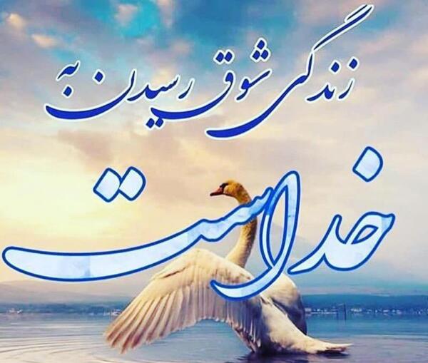 دانلود عکس پروفایل زندگی