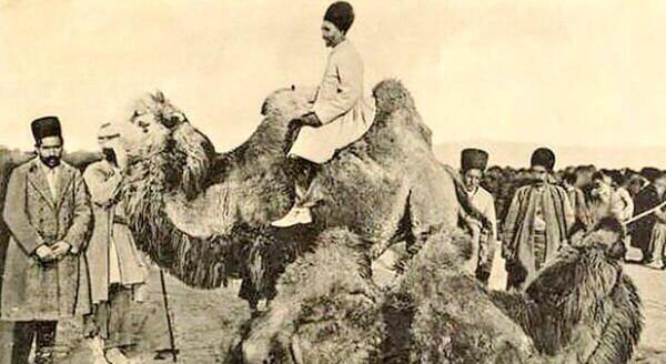 عکس ذبح حیوانات