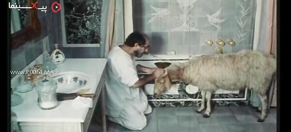 عکس ذبح حیوانات