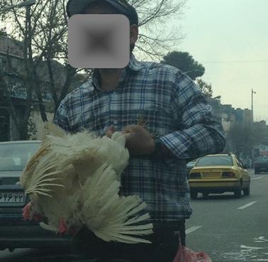 عکس ذبح حیوانات
