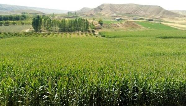 عکس ماشین ذرتی