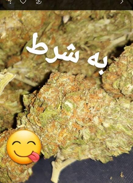 عکس مواد گل