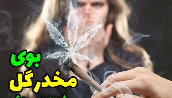عکس مواد گل