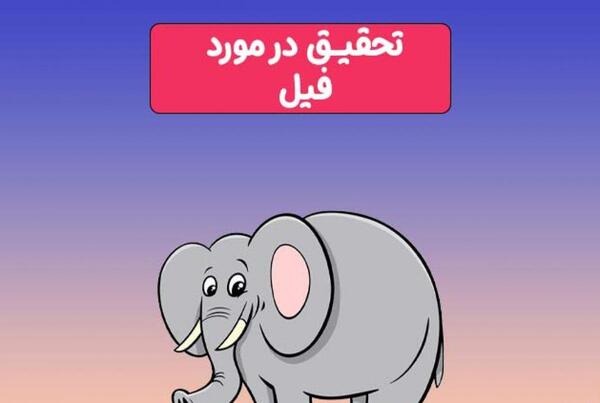 عکس ساده فیل