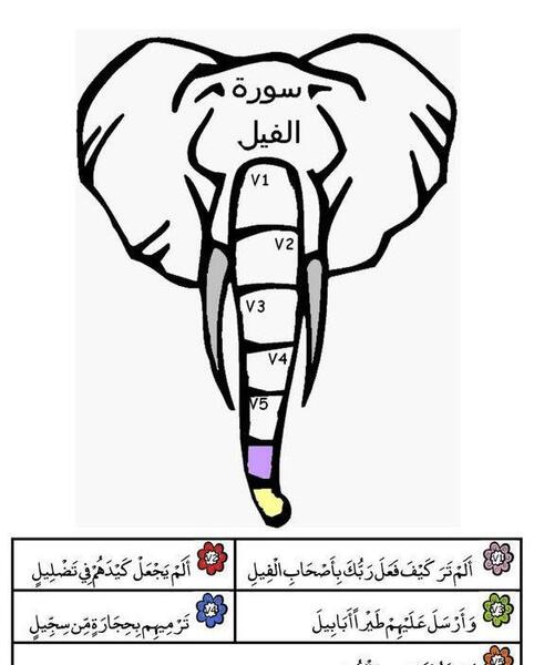 عکس ساده فیل