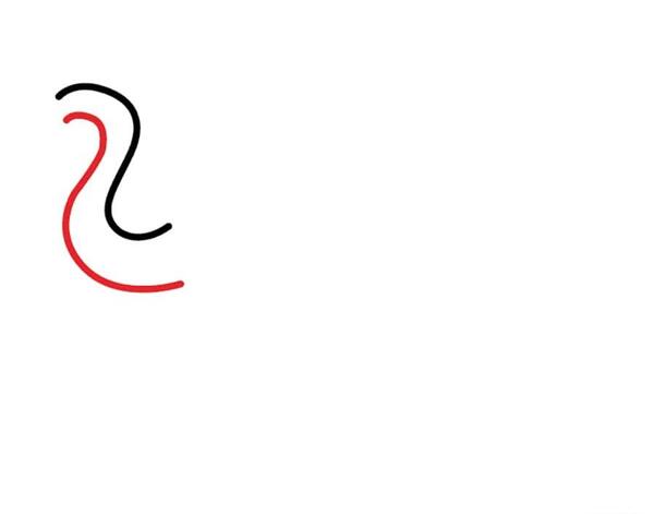 عکس ساده فیل