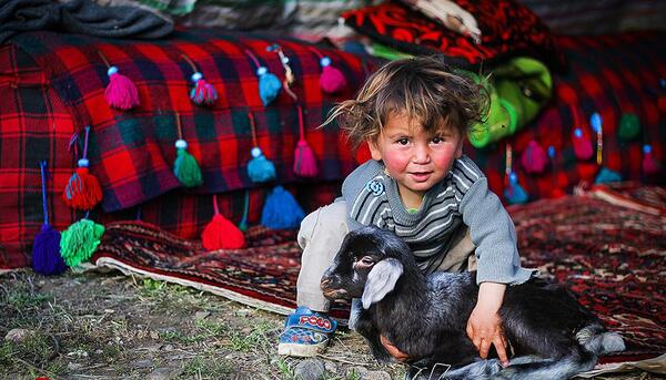 عکس بچه های ما