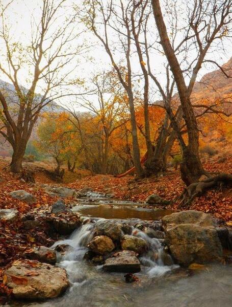 عکس زیبای پاییز