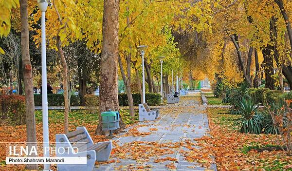 عکس زیبای پاییز