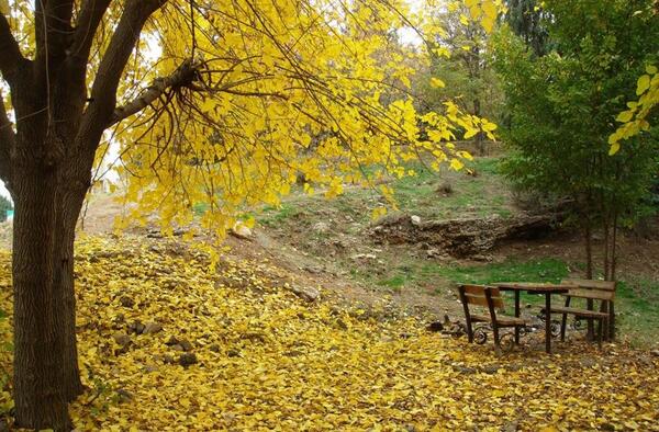عکس های زیبا از پاییز تهران