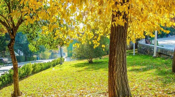 عکس های زیبا از پاییز تهران