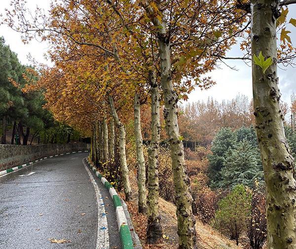 عکس های زیبا از پاییز تهران