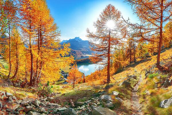 عکس های زیبا از پاییز تهران