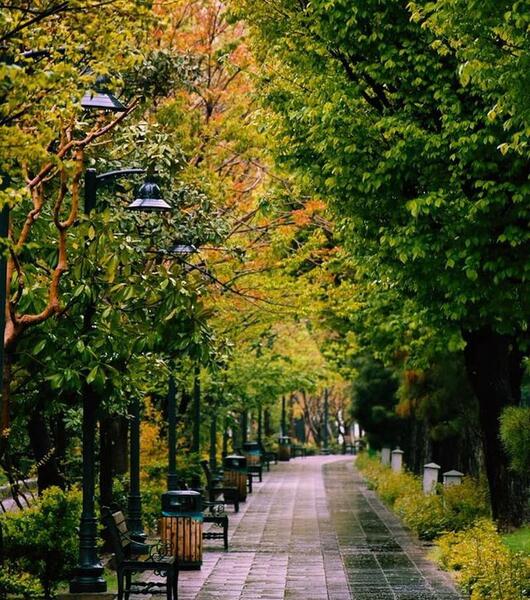 عکس های زیبا از پاییز تهران