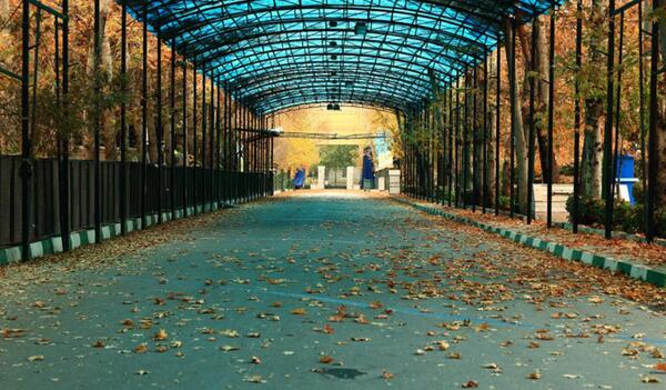 عکس های زیبا از پاییز تهران