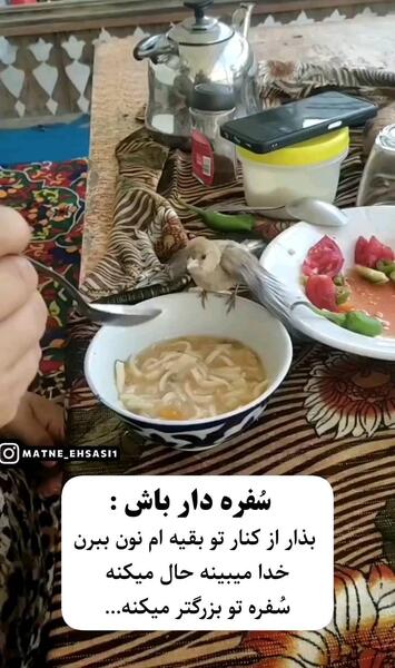 عکس سفره دار