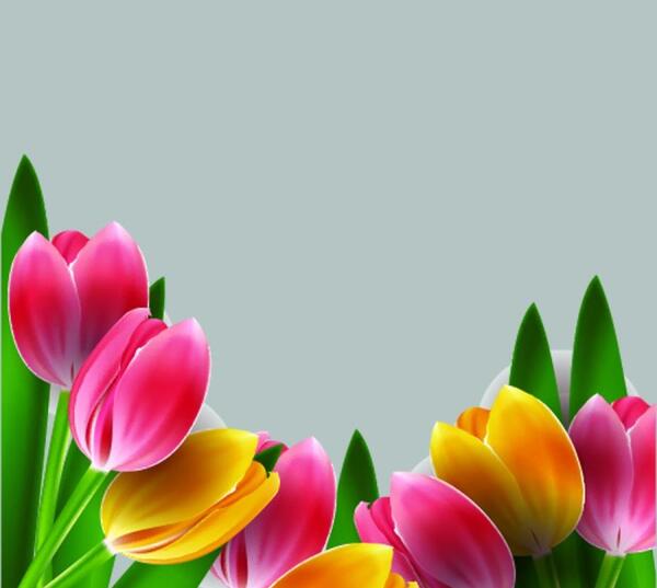 عکس تصاویر لایه باز طبیعت