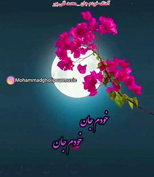 عکس پروفایل محمد قلی