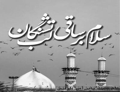 عکس جواد حکمتی