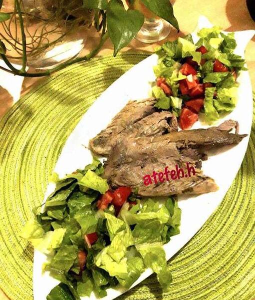 عکس تن ماهی جدید
