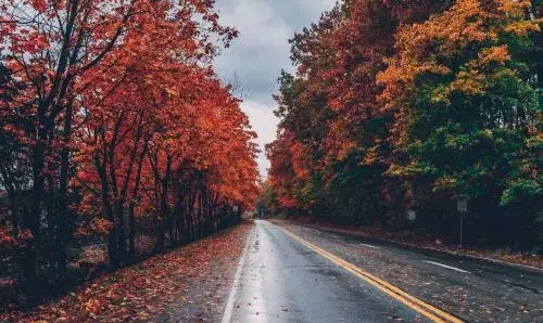 عکس استوری جاده پاییز