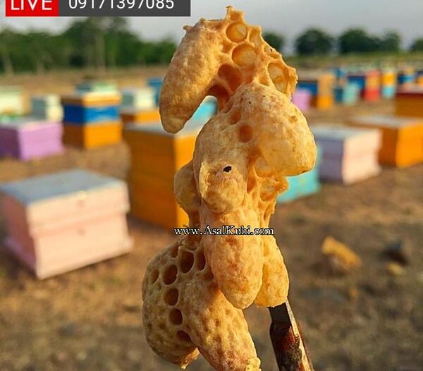 عکس ژل رویال اصل