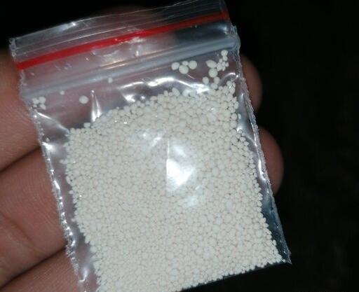 عکس شپش سر نی نی سایت