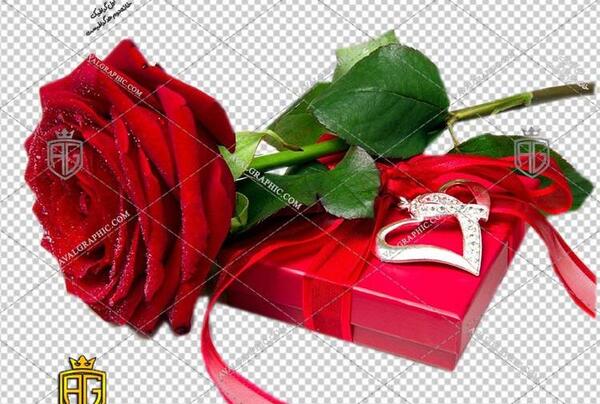 عکس گل ولنتاین