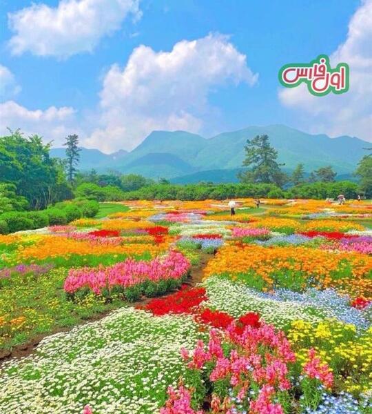 عکس بهشت گل